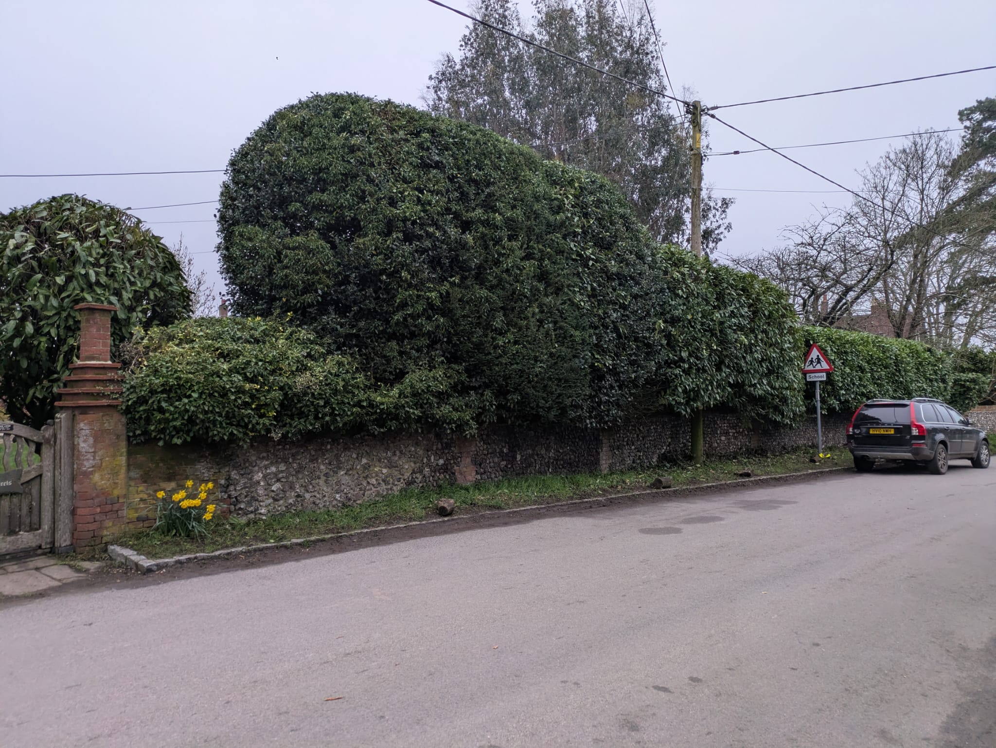 Hedge and shrubs after trimming with a tidy finish for a private home near Skirmett