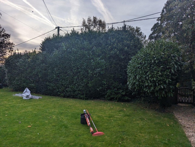 Boundary hedge reduced to a clean line after cutting for a private home near Skirmett