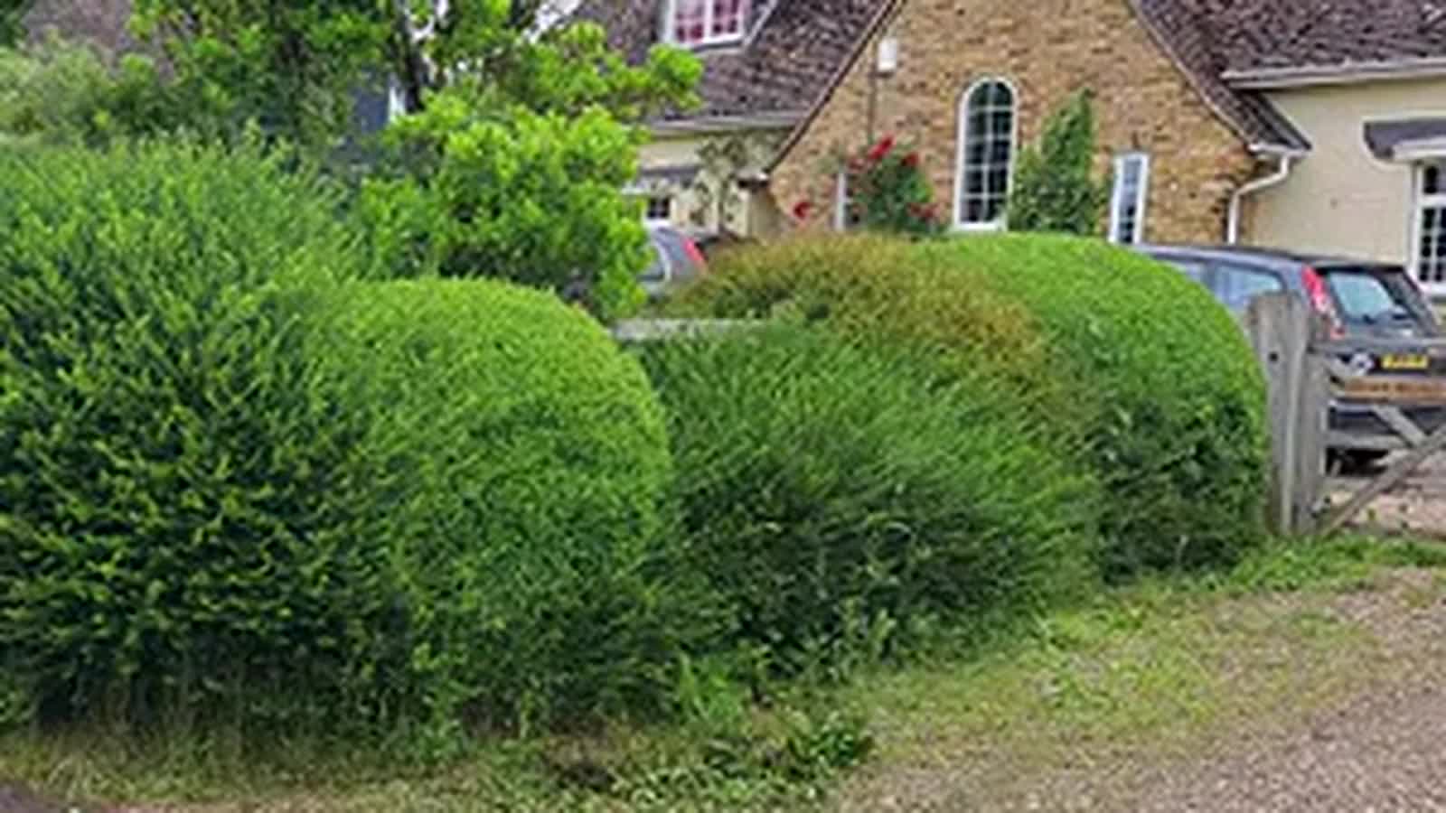 Neatly clipped shrubs and tidy front garden for a private home near Skirmett
